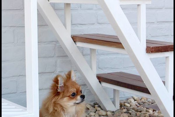 Akaya Production Office